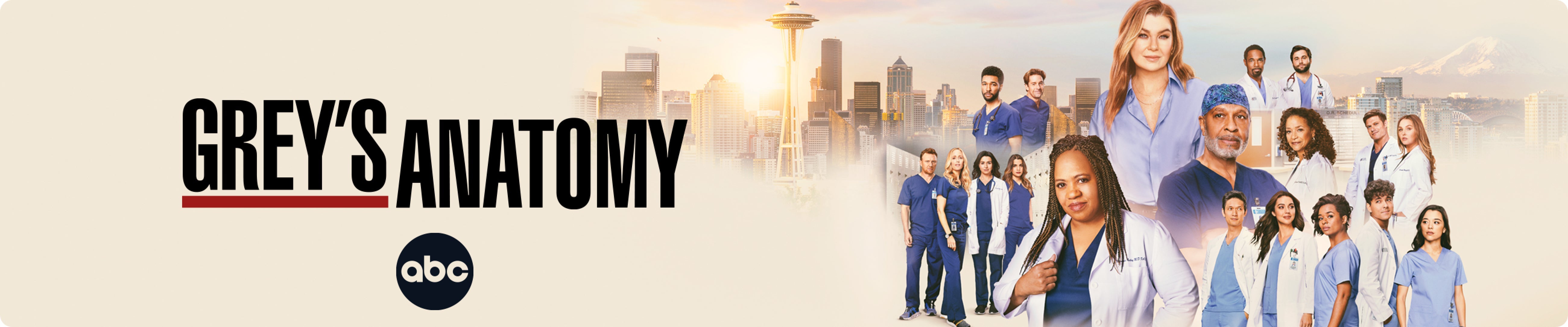 Abc Grey's Anatomy Hulu Is Greys On Hulu Hulu Shows Grey'