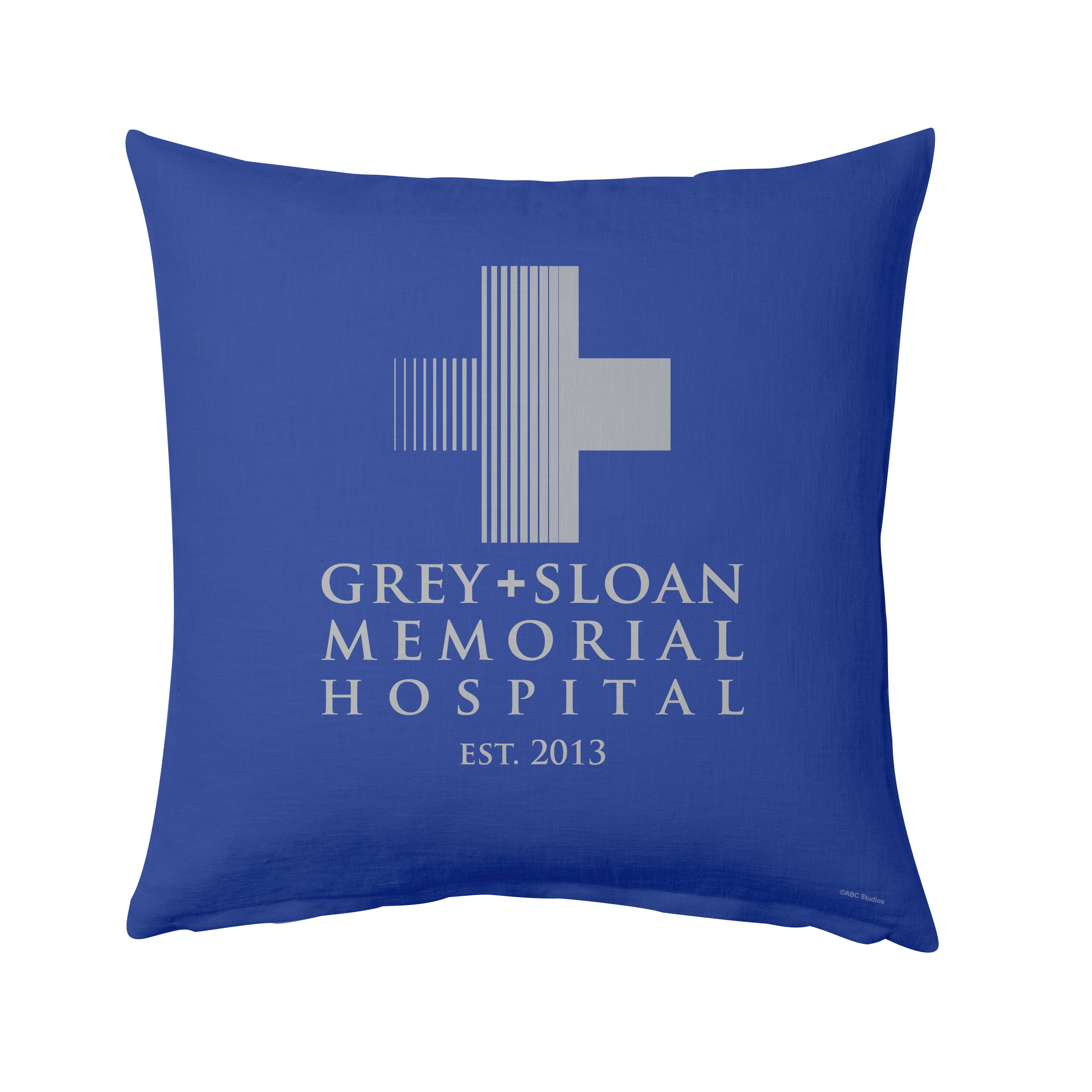 Greys shop anatomy pillow